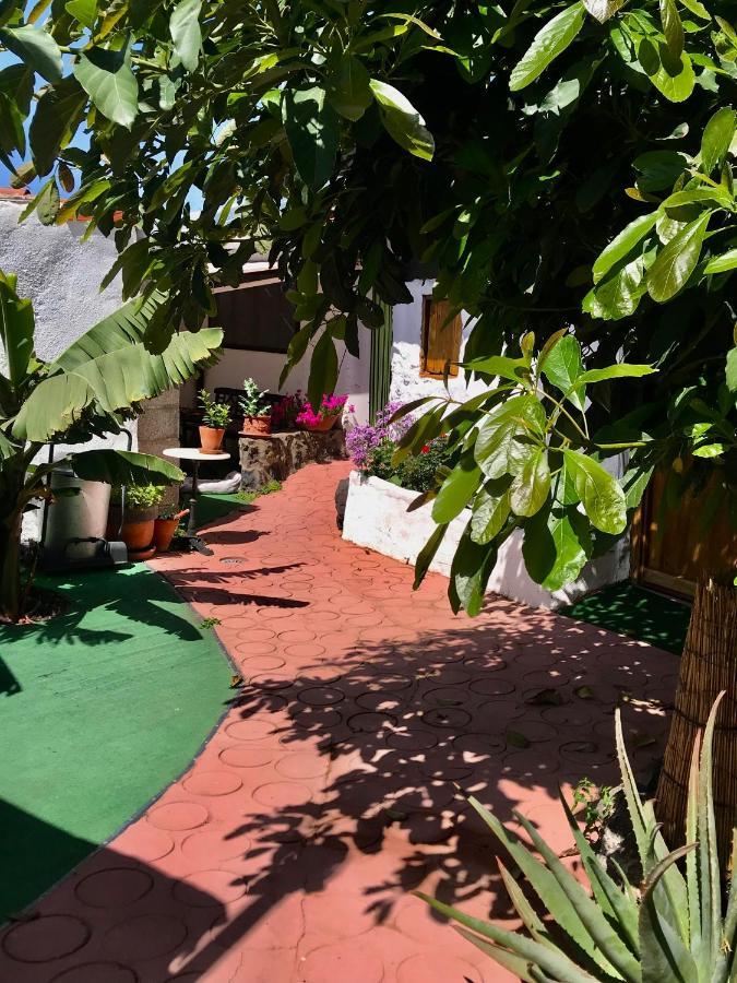 Finca Casa Madera 1 Icod De Los Vinos Extérieur photo